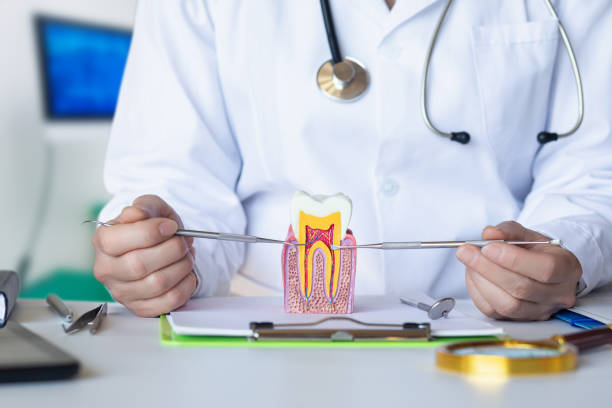 Best Emergency Dental Care for Trauma or Injury in Sherwood, AR